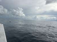 Dive photo at Spiegel Grove in Key Largo, Florida from Tropical Serenity with Captain Tammy on September 19, 2026, Rainbow Reef Dive Center