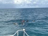 Dive photo at Student/Classes Trip in Key Largo, Florida from Tropical Serenity with Captain Tammy on September 16, 2026, Rainbow Reef Dive Center