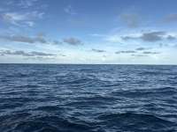 Great day of scuba diving in Key Largo with Rainbow Reef on uscgc duane tropical destiny 2026 09 12 r20358 1