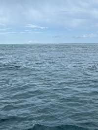 Dive photo at Winch Hole in Key Largo, Florida from Tropical Legend with Captain Matthew Lo on September 17, 2026, Rainbow Reef Dive Center