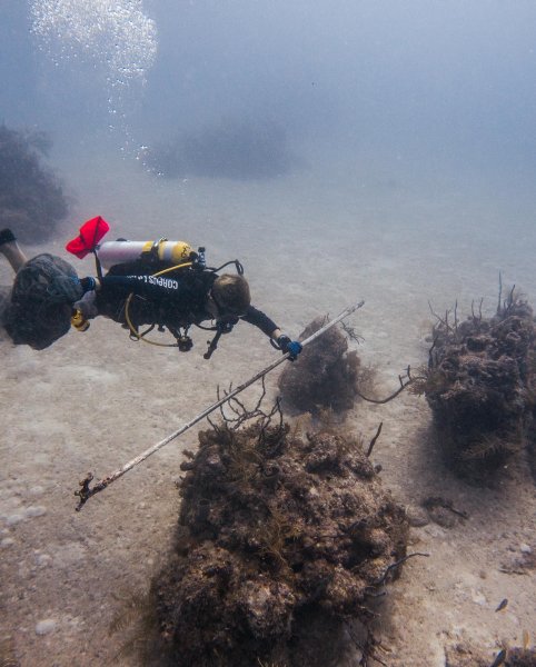 Caleb Ea, PADI IDC Staff Instructor - Instructors, Instructor | Rainbow Reef Dive Center, Key Largo, Florida Keys image