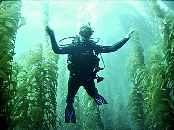 Jorge, PADI Master Scuba Diver Trainer - Instructors, Instructor | Rainbow Reef Dive Center, Key Largo, Florida Keys image