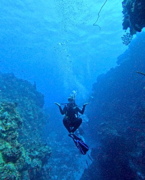 Paige Fi, , , Rainbow Reef Dive Center, Key Largo, Florida Keys image