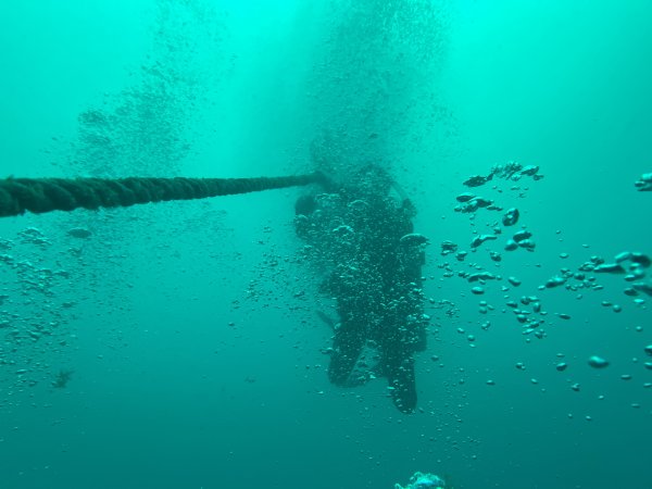 Teagan, , , Rainbow Reef Dive Center, Key Largo, Florida Keys image