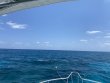 Thursday April 15th 2021 Santana: Conch Ledge reef report photo 1