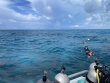 Monday June 28th 2021 Tropical Adventure: Sand Island reef report photo 1