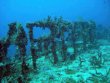 Friday February 28th 2014 Tropical Adventure: USCGC Duane reef report photo 2