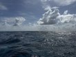 Saturday June 14th 2025 Tropical Adventure: Hard Bottom Cave reef report photo 1