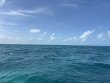 Wednesday June 18th 2025 Tropical Adventure: Minnow Cave reef report photo 1