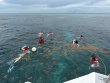 Wednesday July 9th 2025 Tropical Adventure: Christ Statue reef report photo 1
