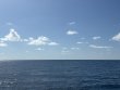 Friday August 15th 2025 Tropical Adventure: SPECIAL EVENT reef report photo 1