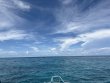 Saturday August 16th 2025 Tropical Adventure: Sand Island reef report photo 1