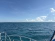 Tuesday August 19th 2025 Tropical Adventure: CRF Nursery reef report photo 1