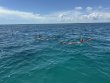 Tuesday September 2nd 2025 Tropical Adventure: Christ Statue reef report photo 1