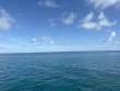 Thursday September 11th 2025 Tropical Adventure: CRF Nursery reef report photo 1