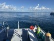 Friday September 26th 2025 Tropical Adventure: Benwood Wreck reef report photo 1