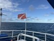 Thursday October 16th 2025 Tropical Adventure: French Reef reef report photo 1