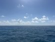 Monday June 29th 2026 Tropical Adventure: Captains Choice reef report photo 1