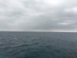 Monday April 4th 2016 Tropical Adventure: USCGC Duane reef report photo 1