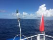 Wednesday June 29th 2016 Tropical Adventure: USCGC Duane reef report photo 1