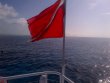 Saturday June 7th 2014 Tropical Adventure: Eagle Ray Alley reef report photo 1