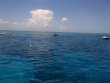 Monday June 9th 2014 Tropical Adventure: Molasses Reef reef report photo 1