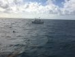 Saturday January 14th 2017 Tropical Adventure: Molasses Reef reef report photo 1