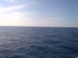 Monday June 30th 2014 Tropical Adventure: USCGC Duane reef report photo 1