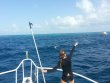 Monday September 15th 2014 Tropical Adventure: Drift Molasses reef report photo 1
