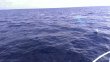 Wednesday October 8th 2014 Tropical Adventure: USCGC Bibb reef report photo 1