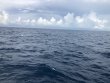 Monday September 14th 2020 Tropical Destiny: Spiegel Grove reef report photo 1