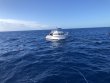 Monday November 23rd 2020 Tropical Destiny: Spiegel Grove reef report photo 1