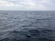 Saturday January 16th 2021 Tropical Destiny: USCGC Duane reef report photo 1