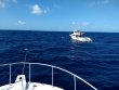 Wednesday March 3rd 2021 Tropical Destiny: Spiegel Grove reef report photo 1