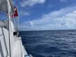 Saturday June 26th 2021 Tropical Destiny: Spiegel Grove reef report photo 1