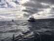 Saturday November 6th 2021 Tropical Destiny: Winch Hole reef report photo 1