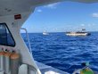 Friday April 29th 2022 Tropical Destiny: Spiegel Grove reef report photo 1