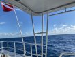 Wednesday August 3rd 2022 Tropical Destiny: Spiegel Grove reef report photo 1