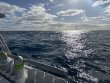 Thursday February 8th 2024 Tropical Destiny: Spiegel Grove reef report photo 1