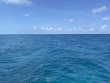 Saturday June 14th 2025 Tropical Destiny: Benwood Wreck reef report photo 1