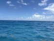 Monday June 16th 2025 Tropical Destiny: Five Caves reef report photo 1