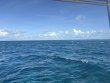 Saturday June 21st 2025 Tropical Destiny: Logans Run reef report photo 1
