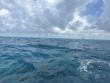Sunday June 22nd 2025 Tropical Destiny: Nine Channel reef report photo 1