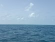 Saturday June 28th 2025 Tropical Destiny: Snapper Ledge reef report photo 1