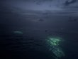 Saturday June 28th 2025 Tropical Destiny: Benwood Wreck reef report photo 1