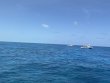 Saturday July 19th 2025 Tropical Destiny: HourGlass reef report photo 1