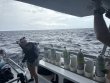 Saturday September 6th 2025 Tropical Destiny: Spiegel Grove reef report photo 1
