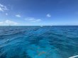 Monday September 22nd 2025 Tropical Destiny: Benwood Wreck reef report photo 1