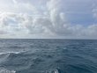 Thursday April 2nd 2026 Tropical Destiny: Nine Channel reef report photo 1