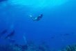 Sunday June 21st 2026 Tropical Destiny: JJs Cave reef report photo 1